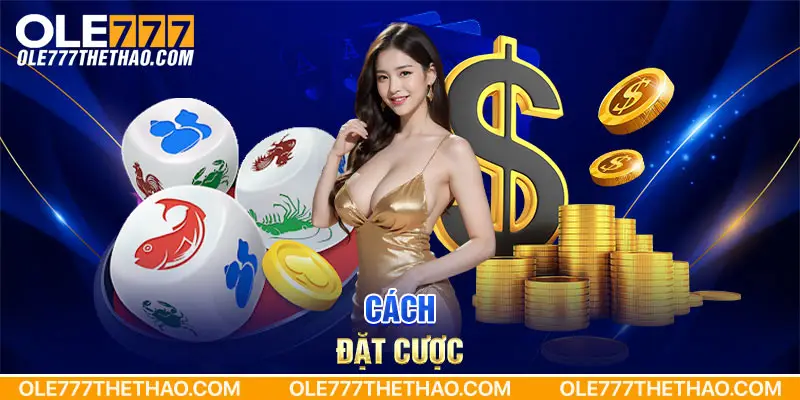 Cách đặt cược