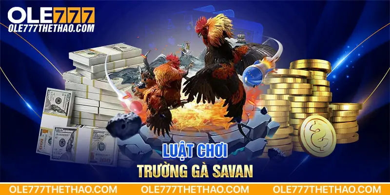 Luật chơi trường gà savan