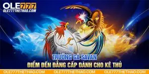 Trường Gà Savan - Điểm Đến Đẳng Cấp Dành Cho Kê Thủ