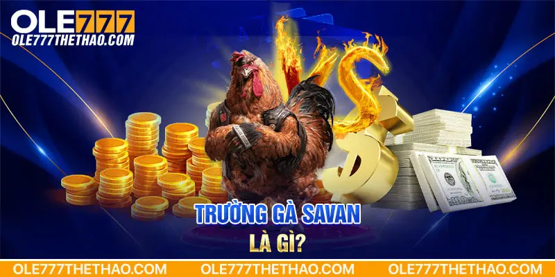 Thông tin cơ bản về trường đấu gà Savan