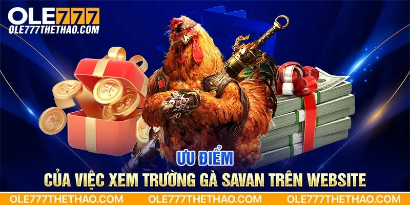 Ưu điểm của việc xem trường gà Savan trên website